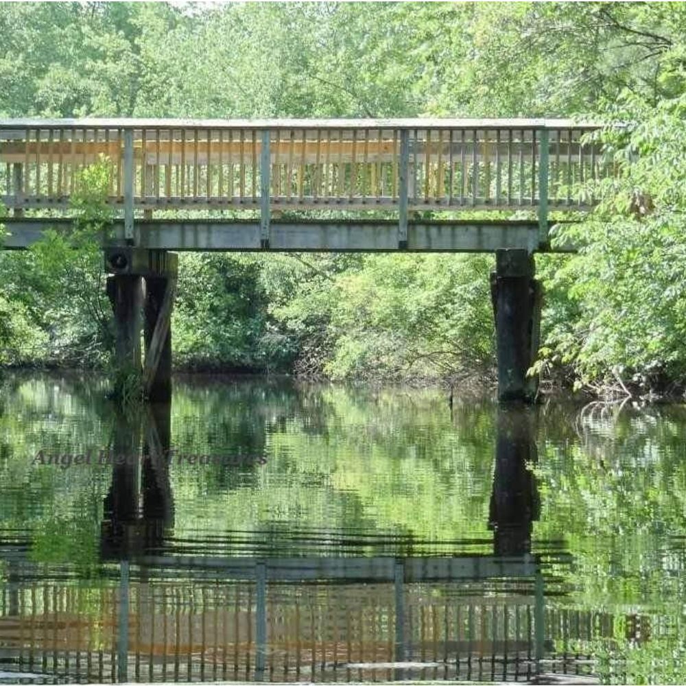 5x7 Original Photography Bridge Reflections